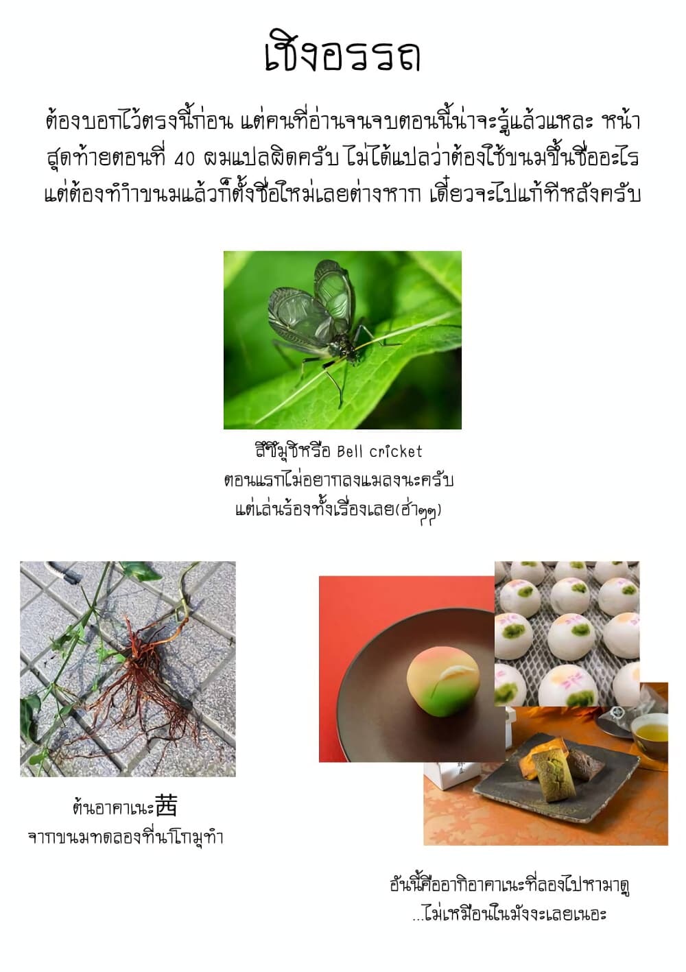 Deaimon ตอนที่ 41 (38)